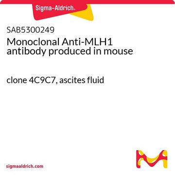 Monoclonal Anti-MLH1 antibody produced in