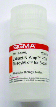 Extract-N-Amp™ PCR ReadyMix™ for Blood