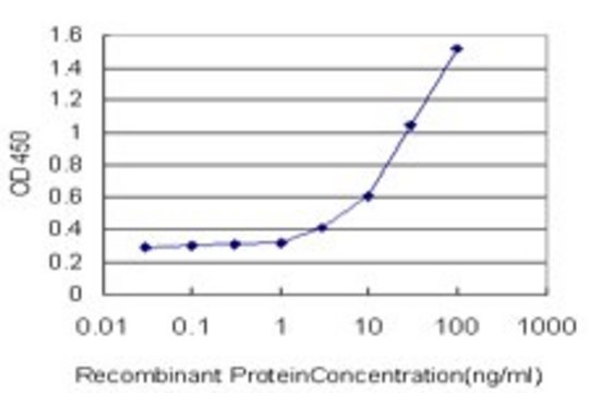 Monoclonal Anti-ATP6V1B2 antibody produced in