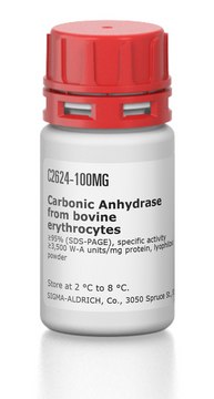 Carbonic Anhydrase from bovine erythrocytes