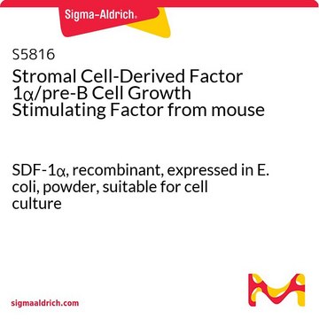 Stromal Cell-Derived Factor 1?/pre-B Cell