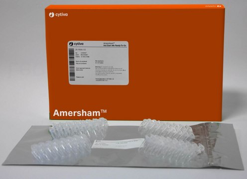 HOT START MIX RTG 0,5ML