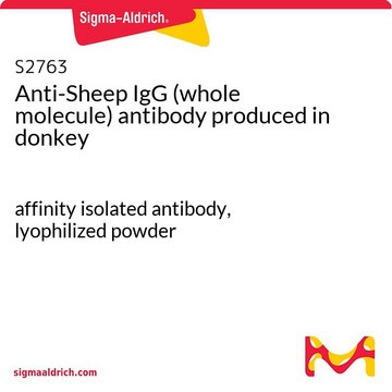 Anti-Sheep IgG (whole molecule) antibody