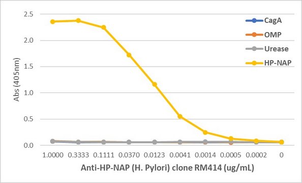 Anti-Urease (Helicobacter Pylori) Rabbit Monoclonal