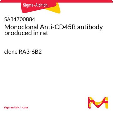 Monoclonal Anti-CD45R antibody produced in