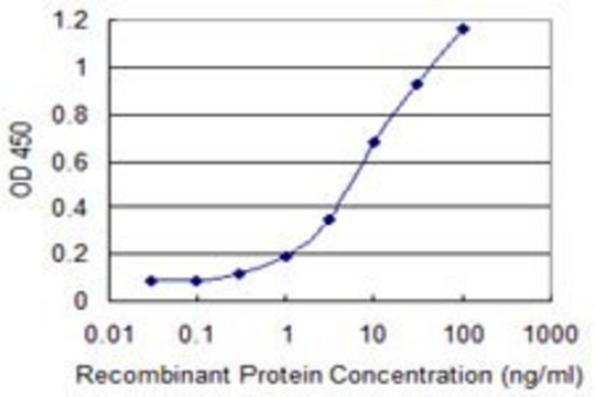 Monoclonal Anti-SEPHS1 antibody produced in