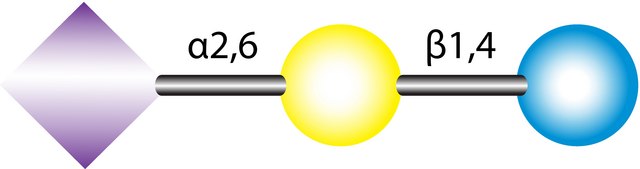 6?-Sialyllactose sodium salt