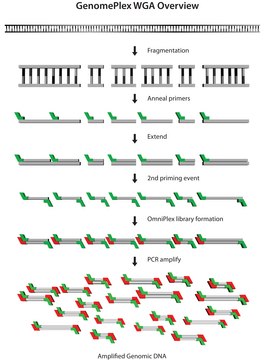 GenomePlex® Whole Genome Amplification (WGA)
