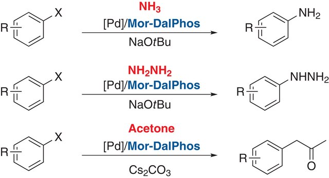 Di(1-adamantyl)-2-dimethylaminophenylphosphine