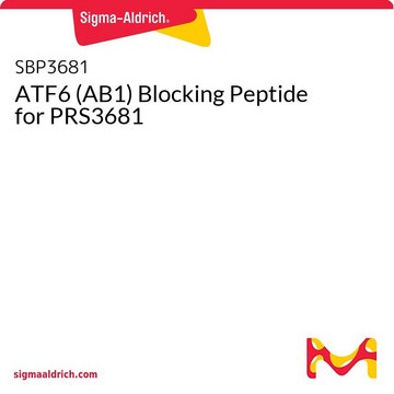 ATF6 (AB1) Blocking Peptide for