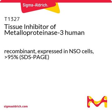 Tissue Inhibitor of Metalloproteinase-3 human