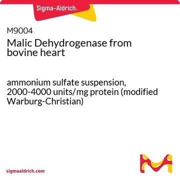 Malic Dehydrogenase from bovine heart
