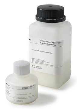 GLUTATHIONE SEPHAROSE HP 25 ML