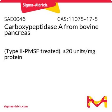 Carboxypeptidase A from bovine pancreas