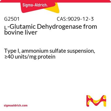 ?-Glutamic Dehydrogenase from bovine liver