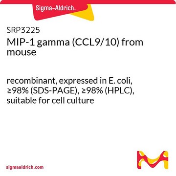 MIP-1 gamma (CCL9/10) from mouse