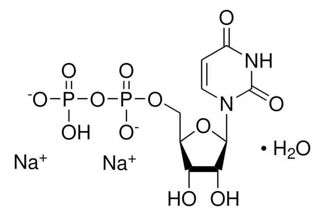 Uridine 5?-diphosphate disodium salt hydrate