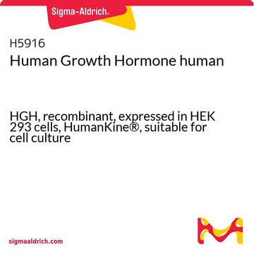 Human Growth Hormone human