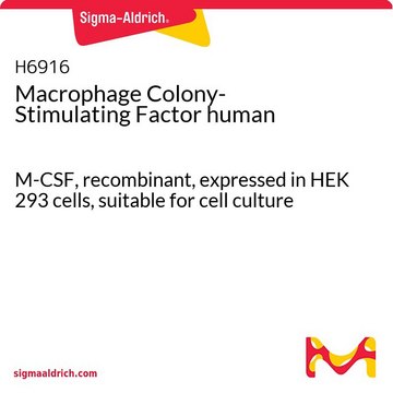 Macrophage Colony-Stimulating Factor human