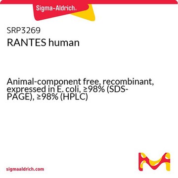 RANTES human