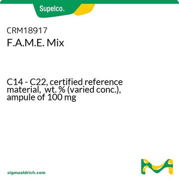 F.A.M.E. Mix