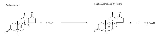 3?-Hydroxysteroid Dehydrogenase from Pseudomonas testosteroni