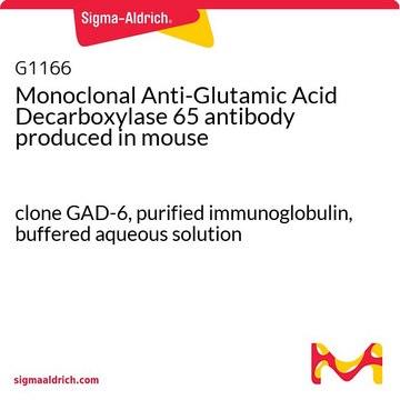 Monoclonal Anti-Glutamic Acid Decarboxylase 65