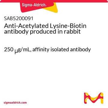 Anti-Acetylated Lysine-Biotin antibody produced in