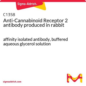 Anti-Cannabinoid Receptor 2 antibody produced