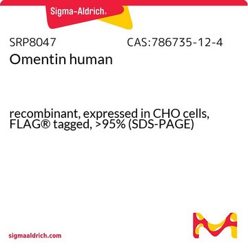 Omentin human