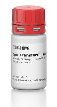 apo-Transferrin human