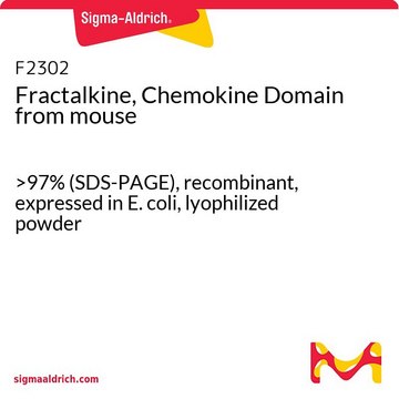 Fractalkine, Chemokine Domain from mouse