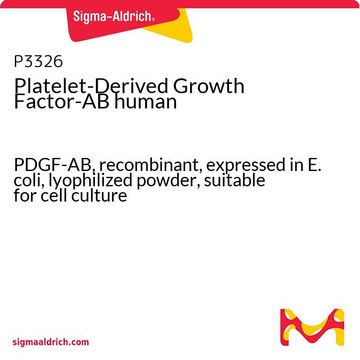 Platelet-Derived Growth Factor-AB human