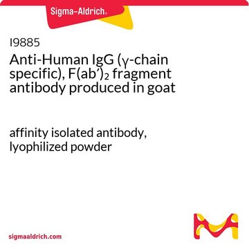 Anti-Human IgG (?-chain specific), F(ab?)?