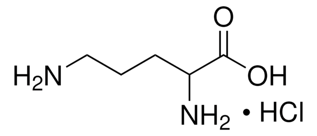 ??-Ornithine monohydrochloride