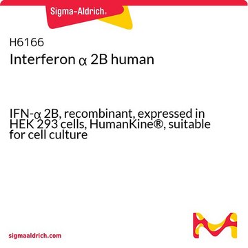 Interferon ? 2B human