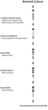 GenElute™ Endotoxin-free Plasmid Maxiprep Kit