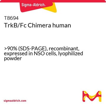 TrkB/Fc Chimera human
