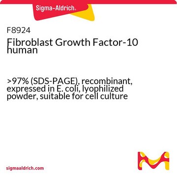Fibroblast Growth Factor-10 human