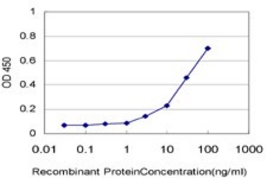 Monoclonal Anti-ANKS1 antibody produced in