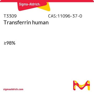 Transferrin human