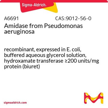 Amidase from Pseudomonas aeruginosa