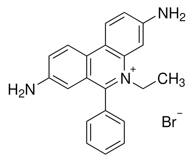 Ethidium bromide solution