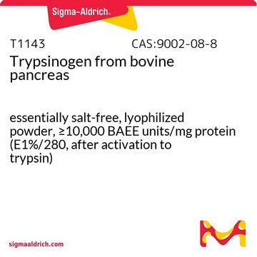 Trypsinogen from bovine pancreas