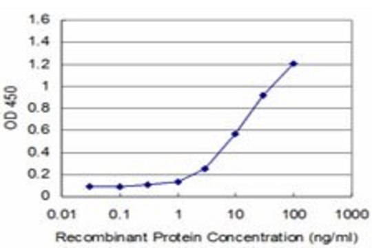 Monoclonal Anti-EN1 antibody produced in