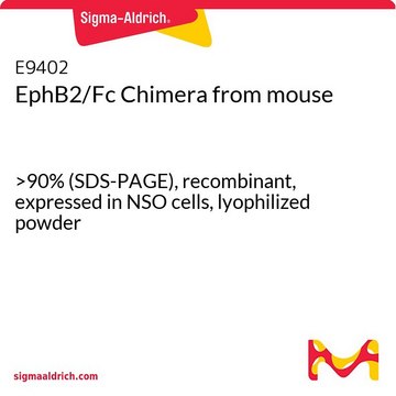 EphB2/Fc Chimera from mouse