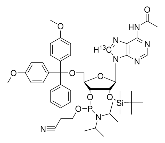 DMT-2?O-TBDMS-rA(ac)-8-¹³C phosphoramidite