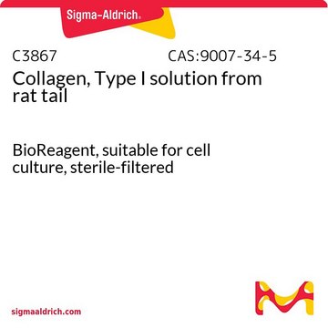 Collagen, Type I solution from
