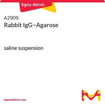 Rabbit IgG?Agarose