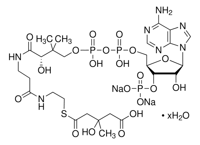 ??-3-Hydroxy-3-methylglutaryl coenzyme A sodium salt